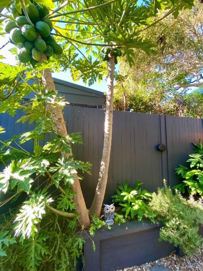 The Mitchell Bondi Garden 4 Leilighet Sydney Eksteriør bilde